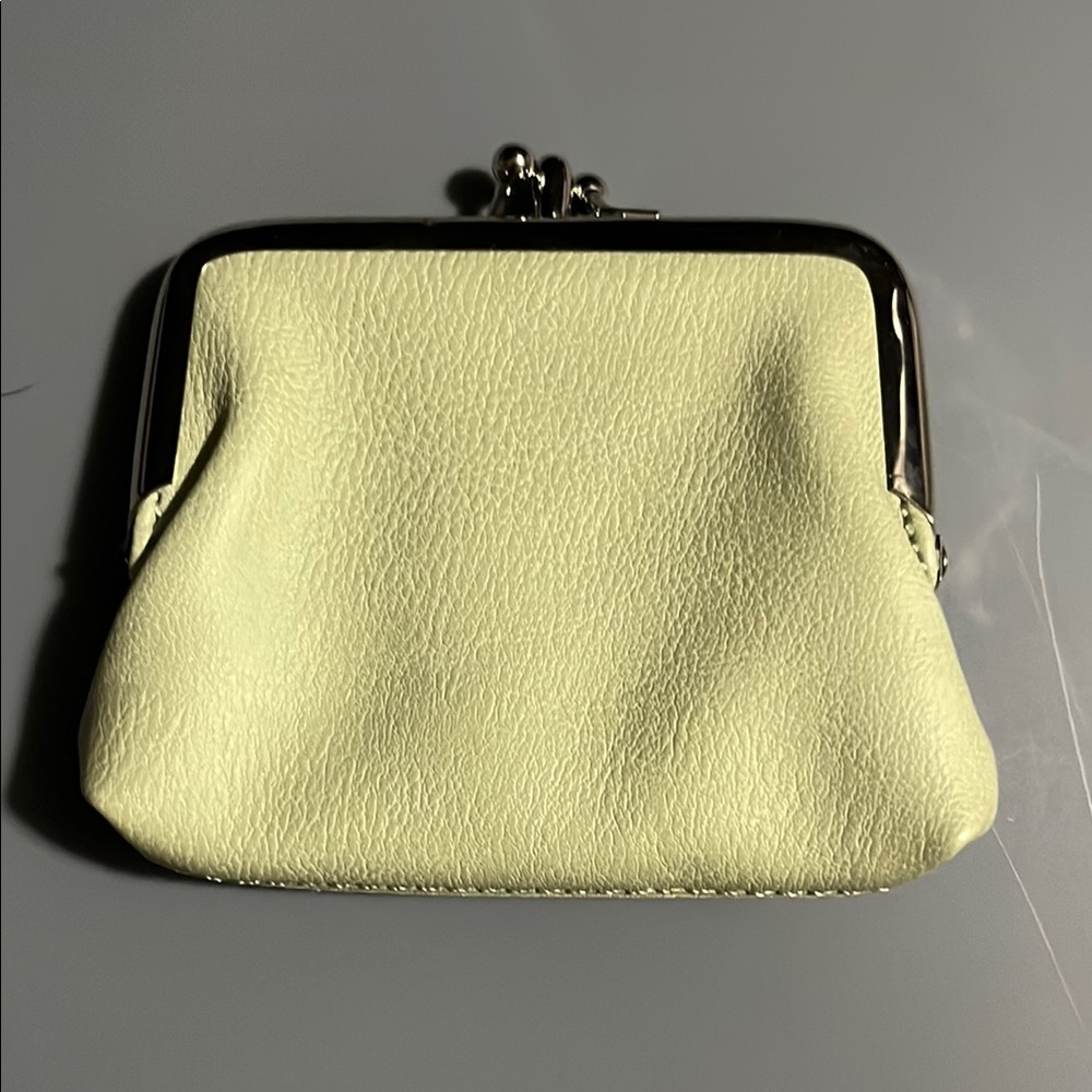 Sage Textured Leather Wallet with Clasp Closure